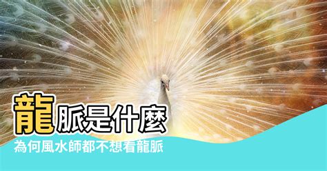 斷龍脈是什麼|【斷龍脈】揭秘！龍脈遭斷後果竟如此驚人